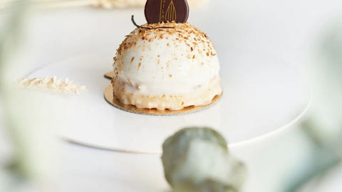 Le Coco Djambo de Silax - capture Instagram